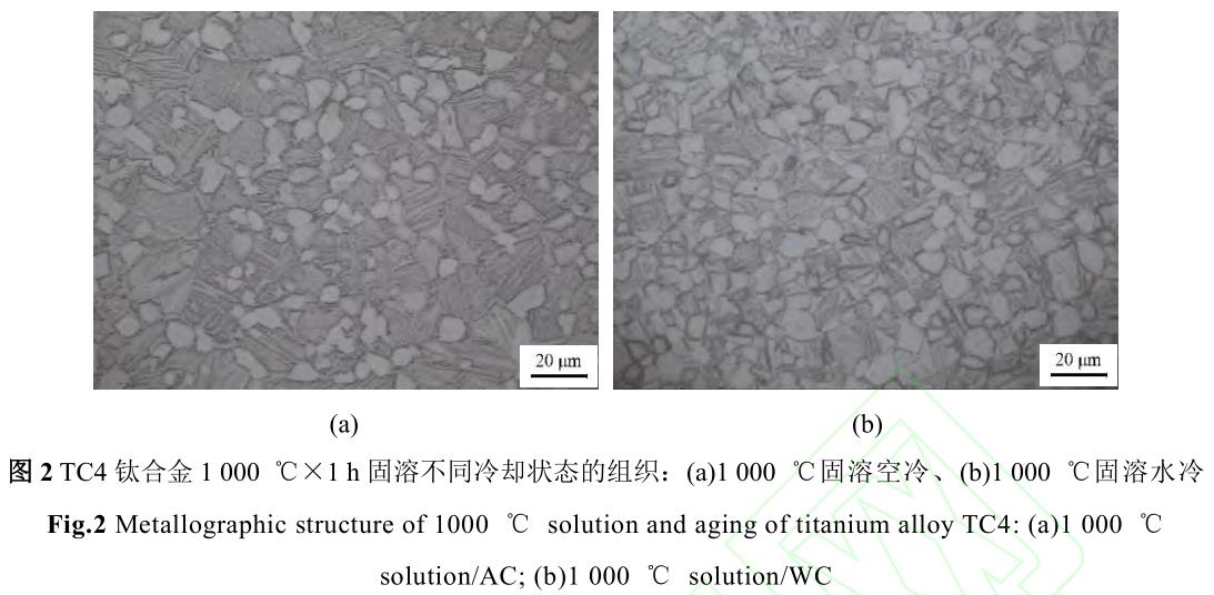 1720272732867962.jpg 360截图16680906106113142.jpg