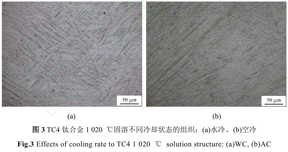 1720272745979530.jpg 360截图16530711585476.jpg