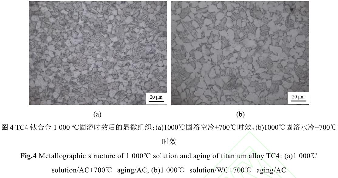 1720272755652460.jpg 360截图16510926537532.jpg