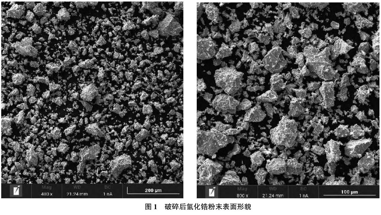 1729157567632462.jpg 360截图16740120284371.jpg