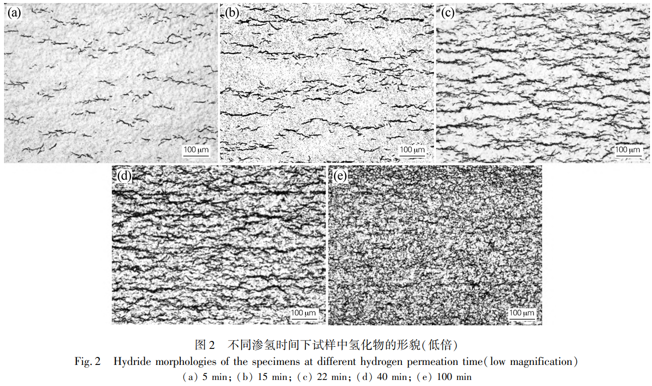 1736775463897743.png 截图20250113213541.png